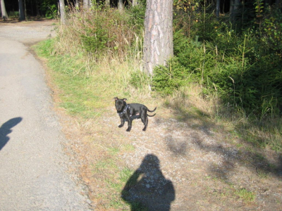 kacka004.jpg
