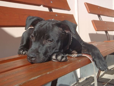 pa023525.jpg