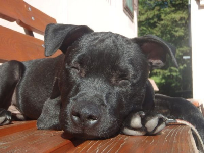 pa023526.jpg