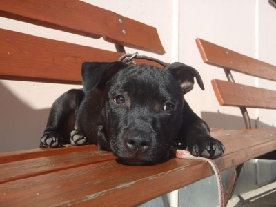 pa023528.jpg