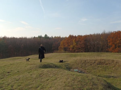 pb063574.jpg