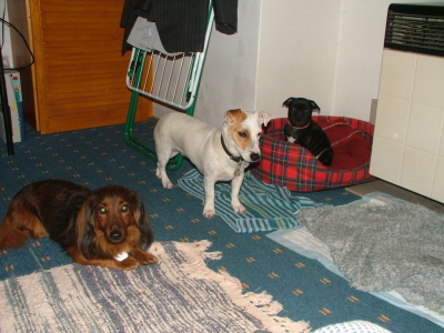 dscf3930.jpg