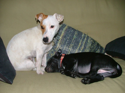 dscf3952.jpg