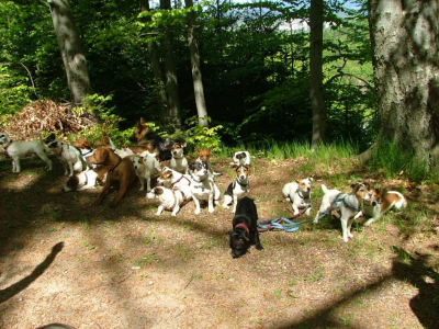 dscf4710.jpg