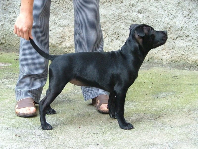 dscf4856.jpg
