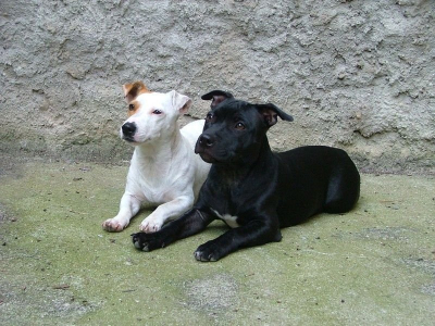 dscf4895.jpg