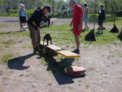 dscn1358.jpg