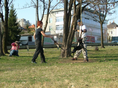 dscf0012.jpg