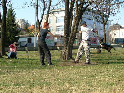 dscf0014.jpg