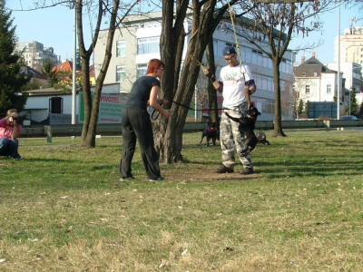 dscf0016.jpg