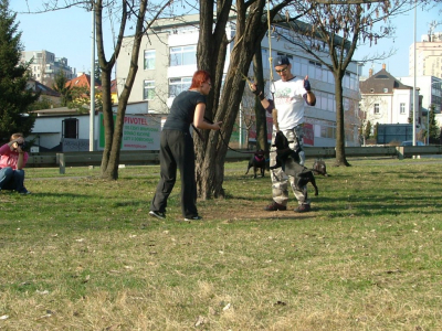 dscf0017.jpg