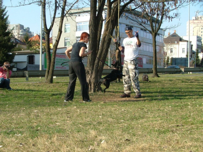 dscf0019.jpg