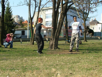 dscf0020.jpg
