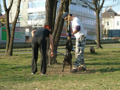 dscf0059.jpg