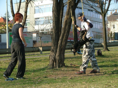 dscf0067.jpg