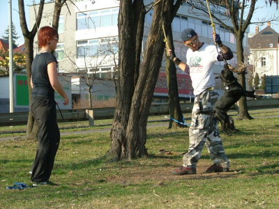 dscf0068.jpg