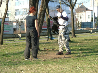 dscf0076.jpg