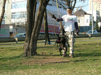 dscf0082.jpg