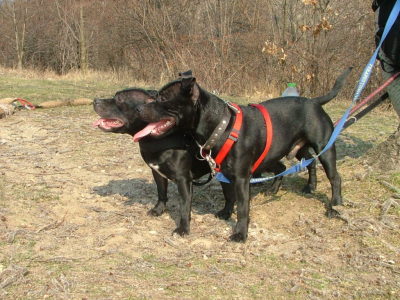 dscf9850.jpg