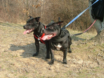 dscf9851.jpg