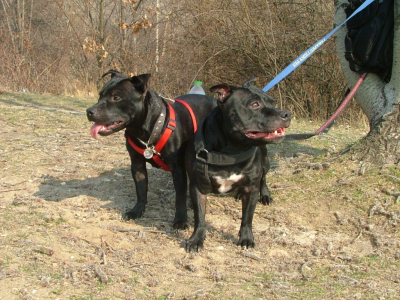dscf9852.jpg