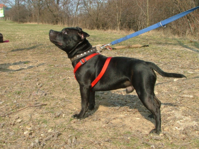 dscf9853.jpg