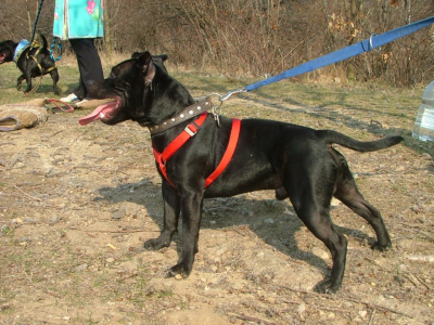 dscf9856.jpg