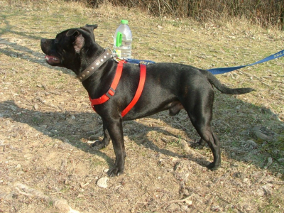 dscf9860.jpg