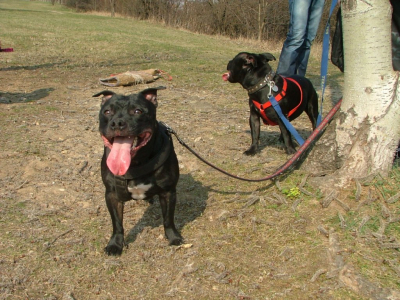 dscf9864.jpg