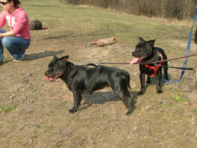 dscf9865.jpg
