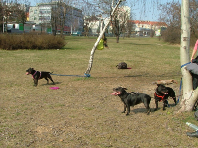 dscf9867.jpg