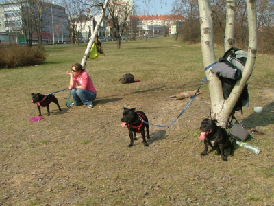 dscf9870.jpg
