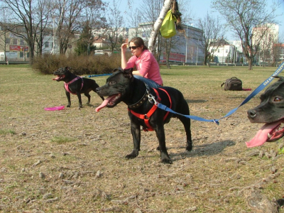 dscf9871.jpg