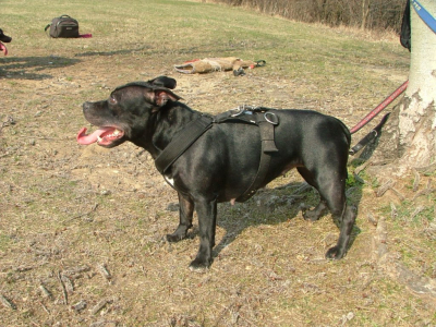 dscf9872.jpg