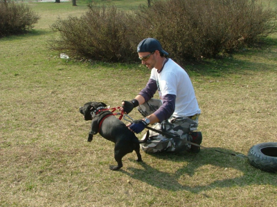 dscf9874.jpg