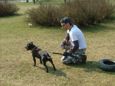 dscf9875.jpg