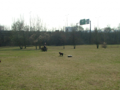 dscf9876.jpg