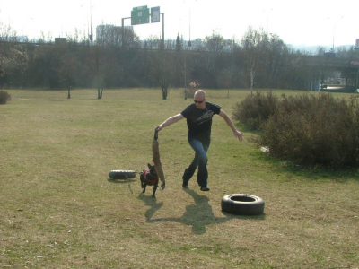 dscf9880.jpg