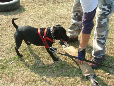 dscf9881.jpg
