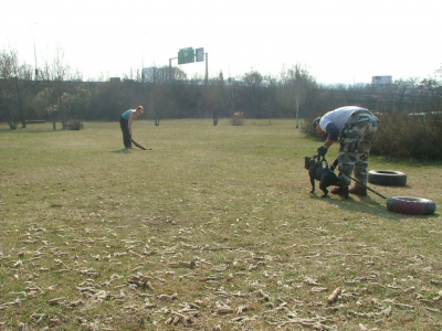 dscf9884.jpg