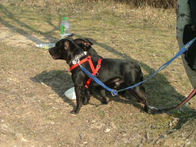 dscf9890.jpg