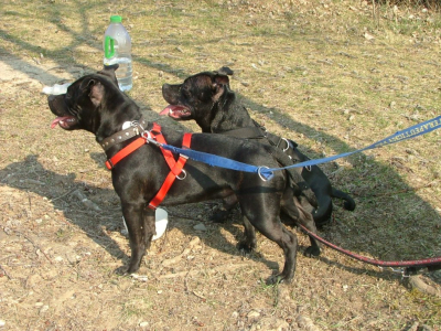 dscf9892.jpg