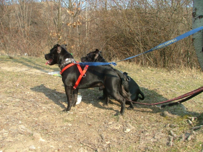 dscf9893.jpg