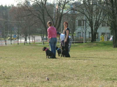 dscf9900.jpg