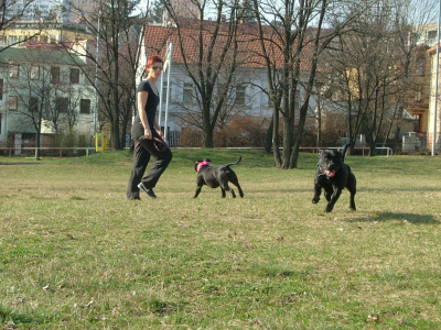 dscf9918.jpg