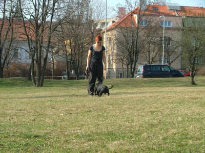 dscf9919.jpg
