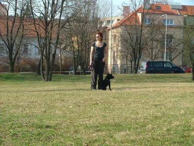 dscf9921.jpg