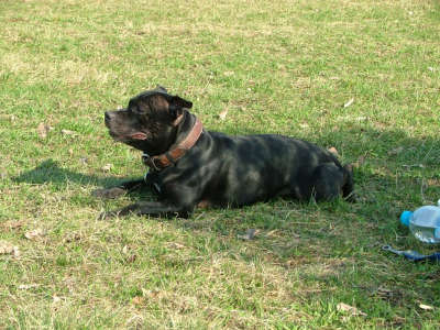 dscf9925.jpg
