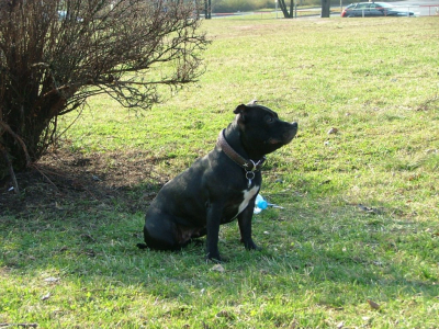 dscf9932.jpg