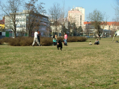 dscf9933.jpg
